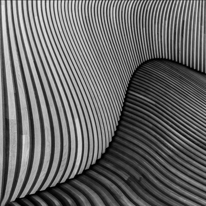 The Wood Project I archival giclée print by Luc Vangindertael