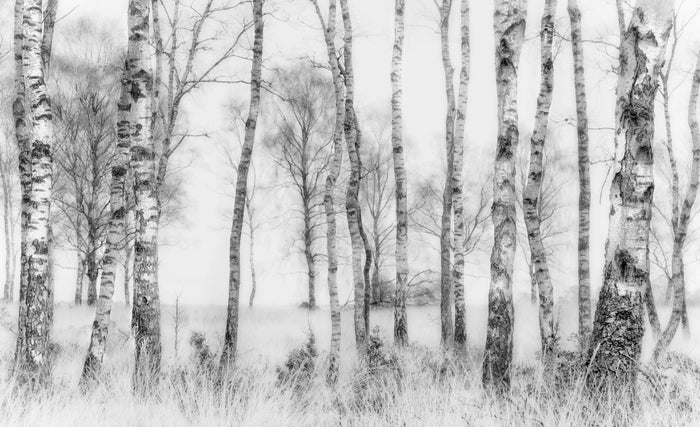 Black & White archival giclée print by Nel Talen
