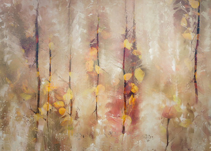 Dreamy Colours archival giclée print by Nel Talen