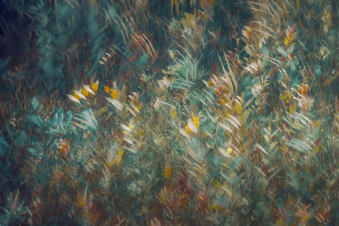 Late Summer archival giclée print by Nel Talen