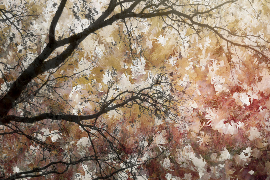 Sea of Flowers archival giclée print by Nel Talen