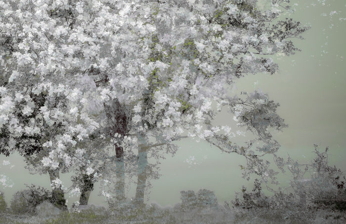 Spring archival giclée print by Nel Talen