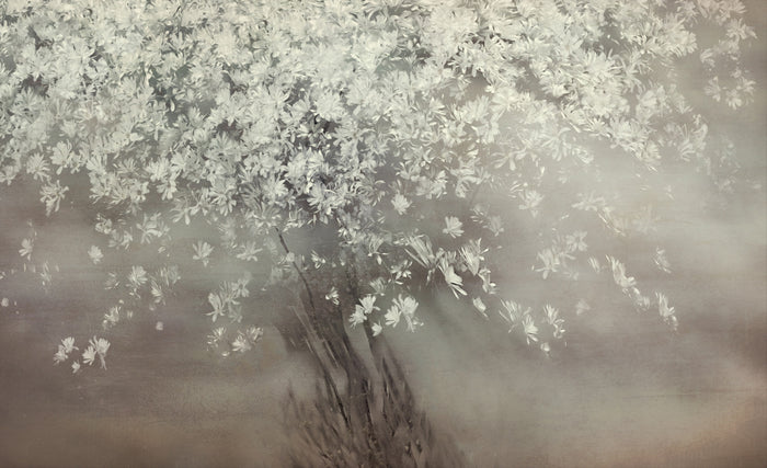 Stars of Spring archival giclée print by Nel Talen