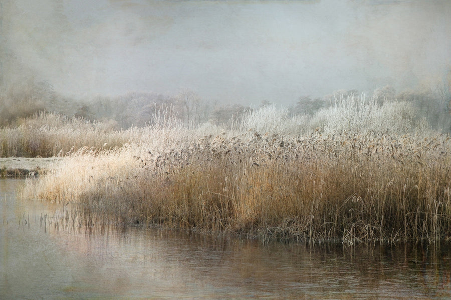 Winter Morning
