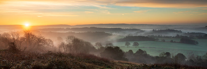 Newlands Dawn archival giclée print by John Miller