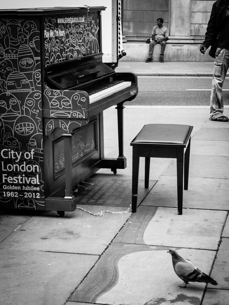Piano & Pigeon archival giclée print by Chris Shepherd