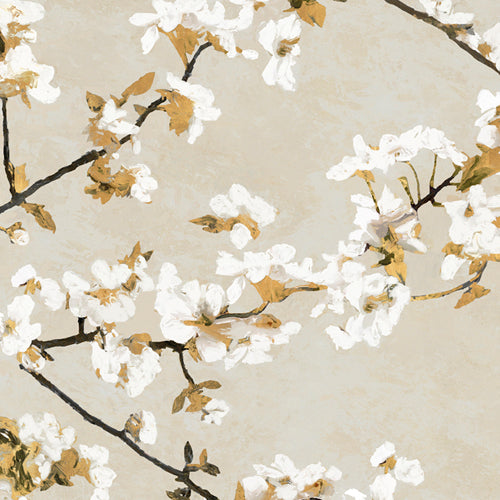 Confetti Bloom II archival giclée print by Tania Bello