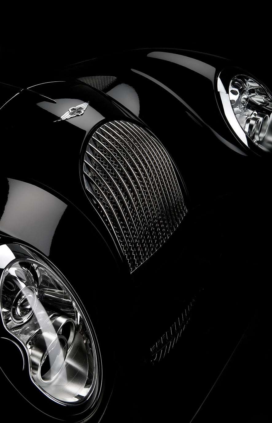 Morgan - Front Detail art print by Tim Wallace