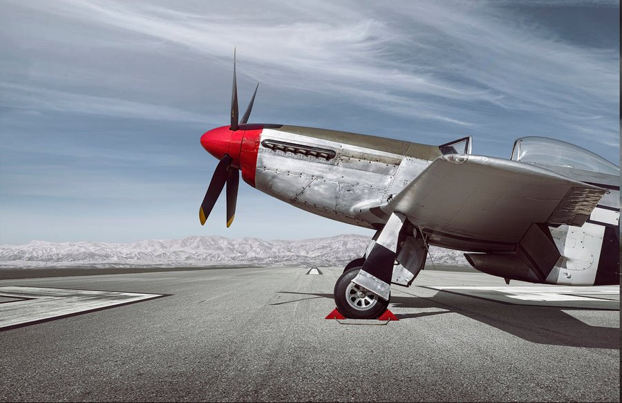Mustang - Cropped art print by Tim Wallace