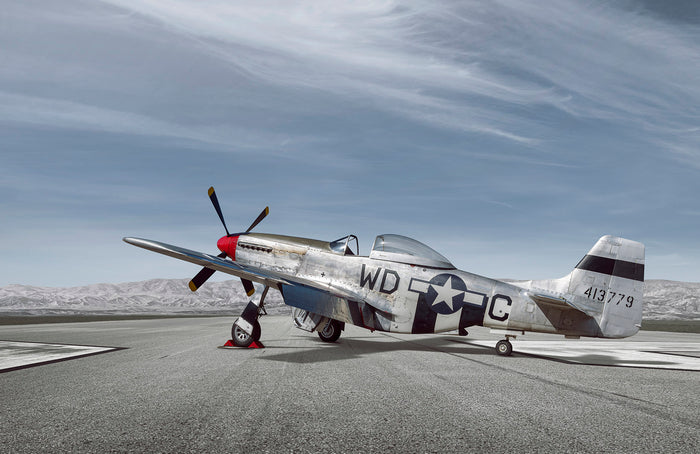 Mustang archival giclée print by Tim Wallace