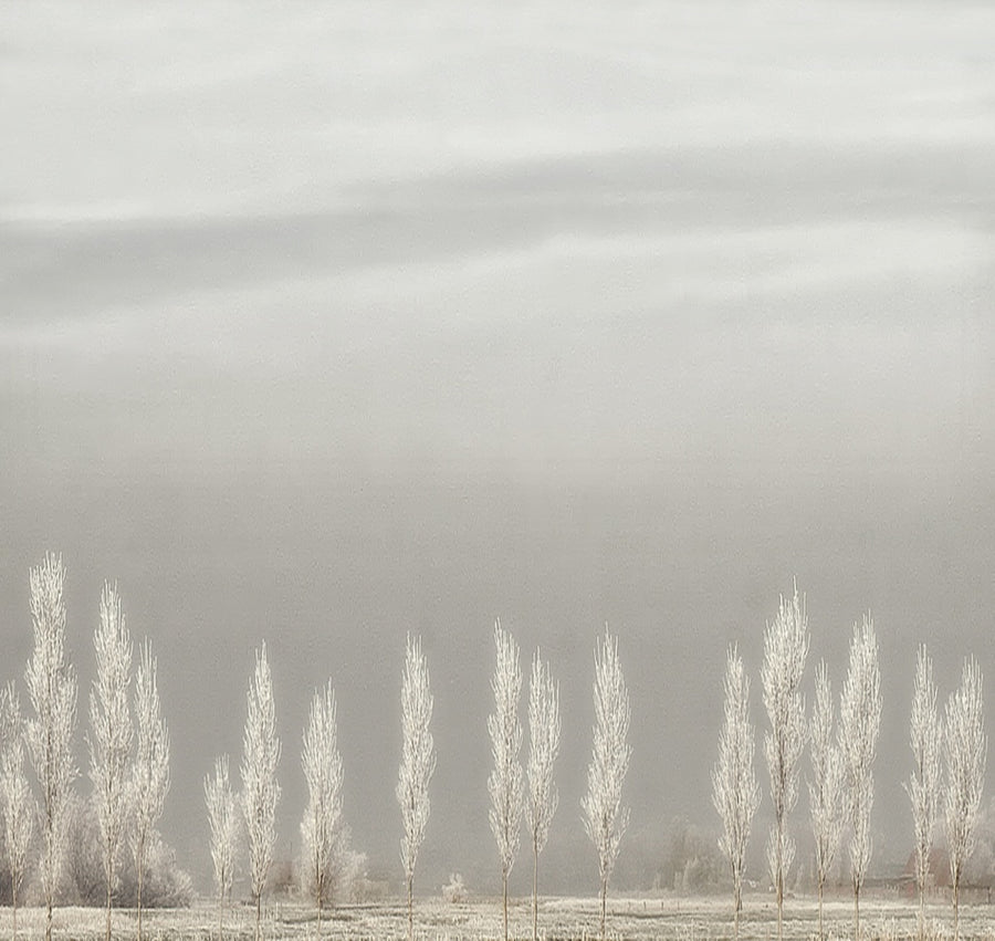 Frosted Winter Trees archival giclée print by Yvette Depaepe as a diptych