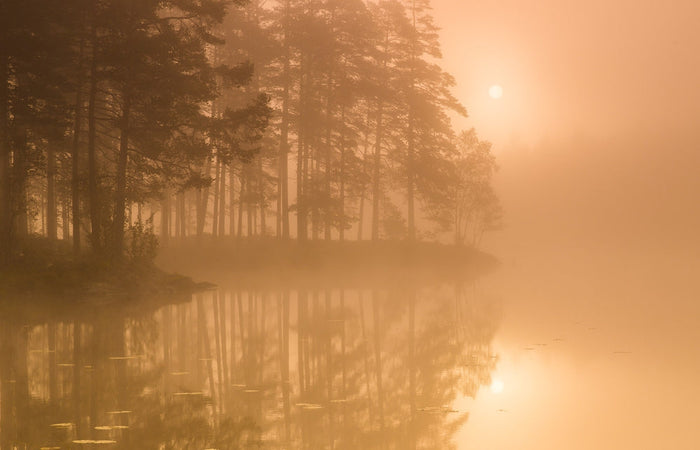 Golden Lake Morning Mist archival giclée print by Andreas Christensen
