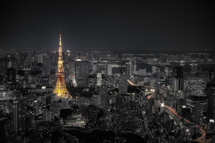 Tokyo at Night archival giclée print by Carlos Ramirez