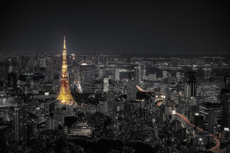 Tokyo at Night archival giclée print by Carlos Ramirez