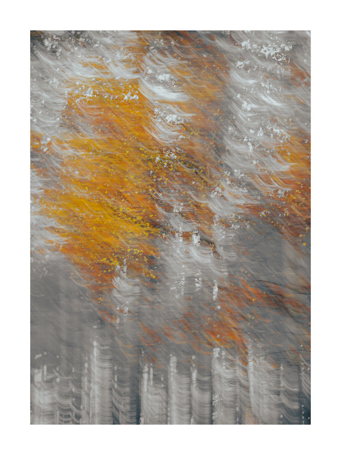 Autumn Colour in the New Forest archival giclée print by Cathryn Baldock