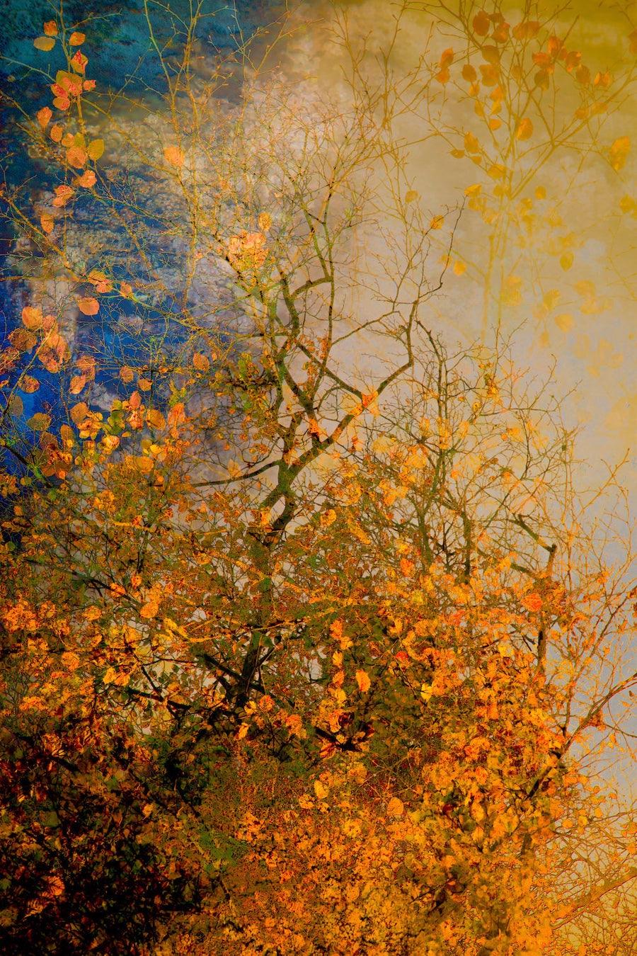 Autumn vibes 2 archival giclée print by Cathryn Baldock