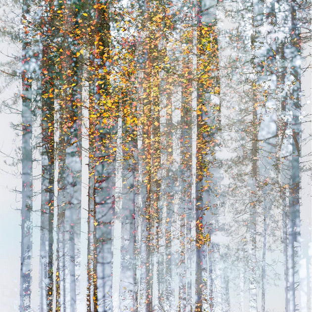 Dibden Mist 1 archival giclée print by Cathryn Baldock