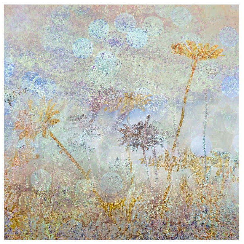 Hedgerow Bokeh 4 archival giclée print by Cathryn Baldock