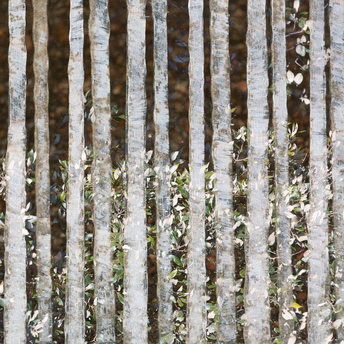 Metal gate archival giclée print by Cathryn Baldock