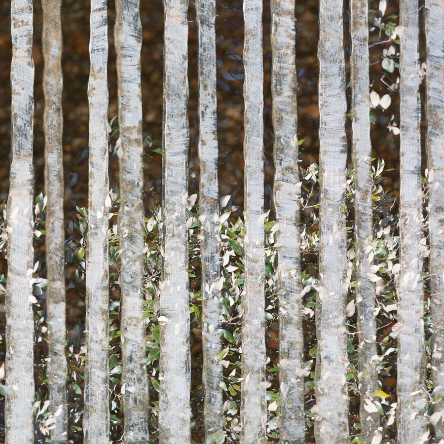 Metal gate archival giclée print by Cathryn Baldock
