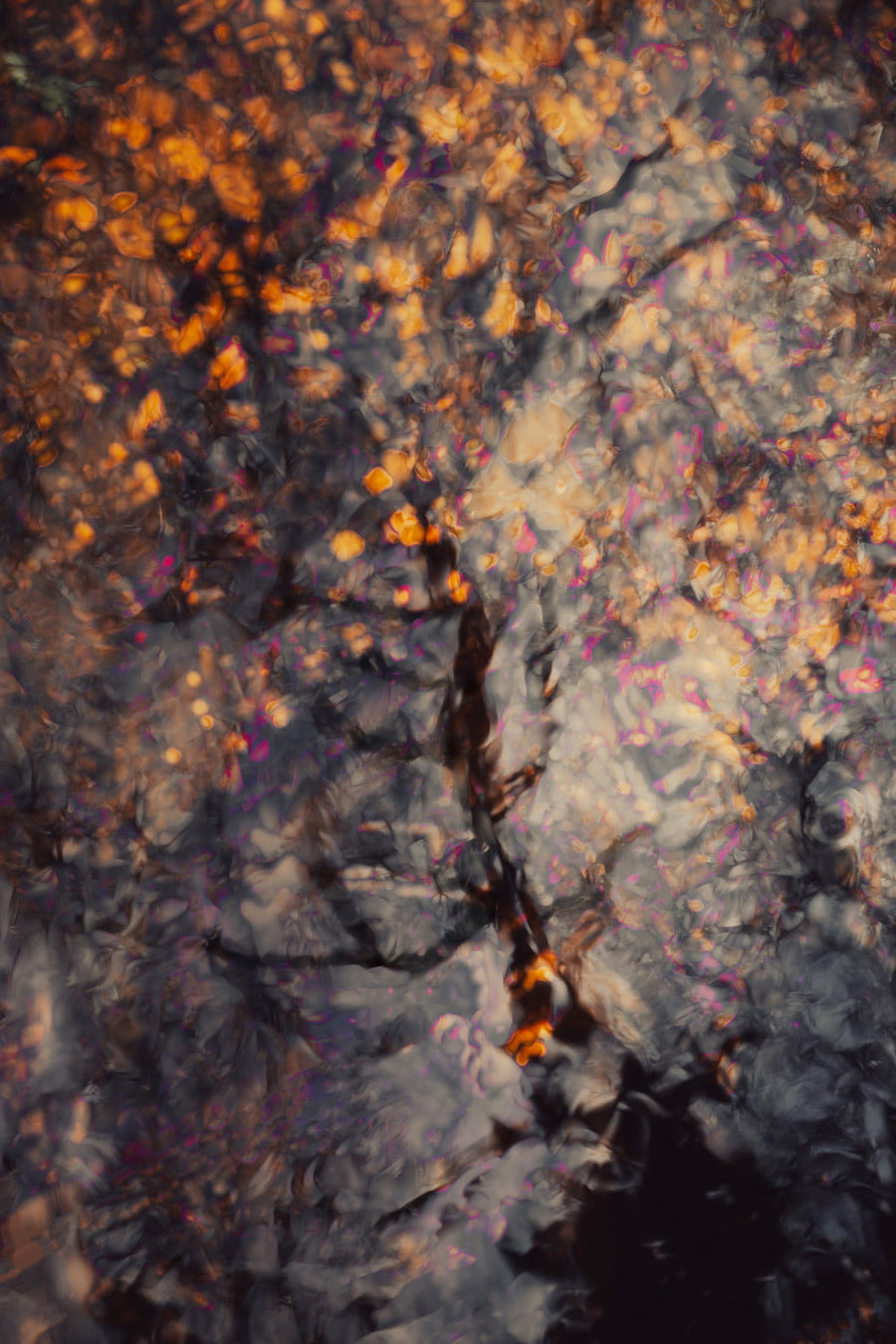 Naiads and Dryads 2 archival giclée print by Cathryn Baldock