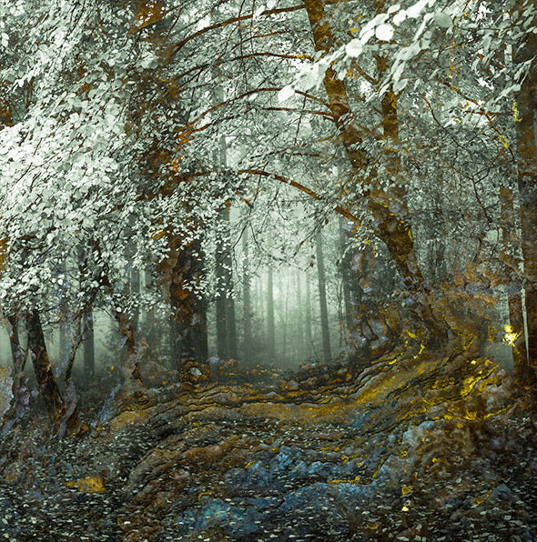 Through the Woods archival giclée print by Cathryn Baldock