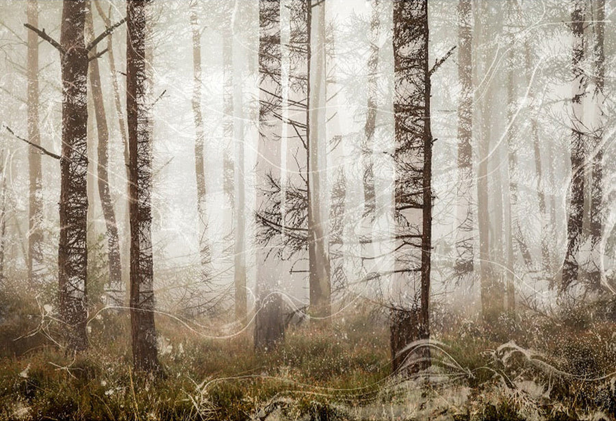 Tree Layers archival giclée print by Cathryn Baldock