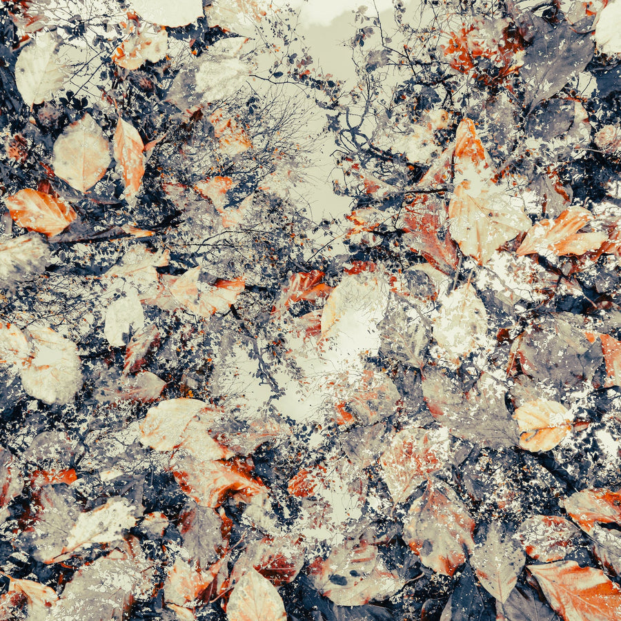 Trees and leaves 2 archival giclée print by Cathryn Baldock