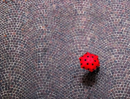 Urban Ladybug archival giclée print by Franco Maffei