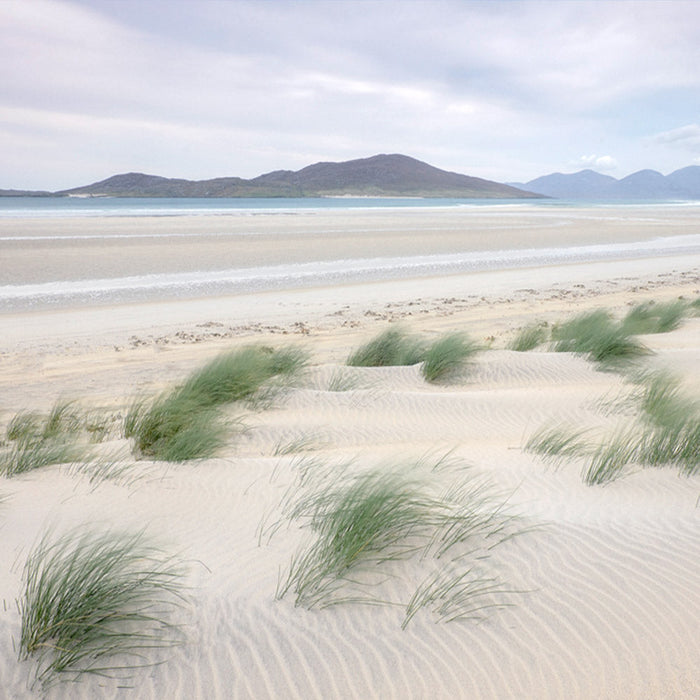 Dune Fringe Seilebost archival giclée print by Ian Cameron
