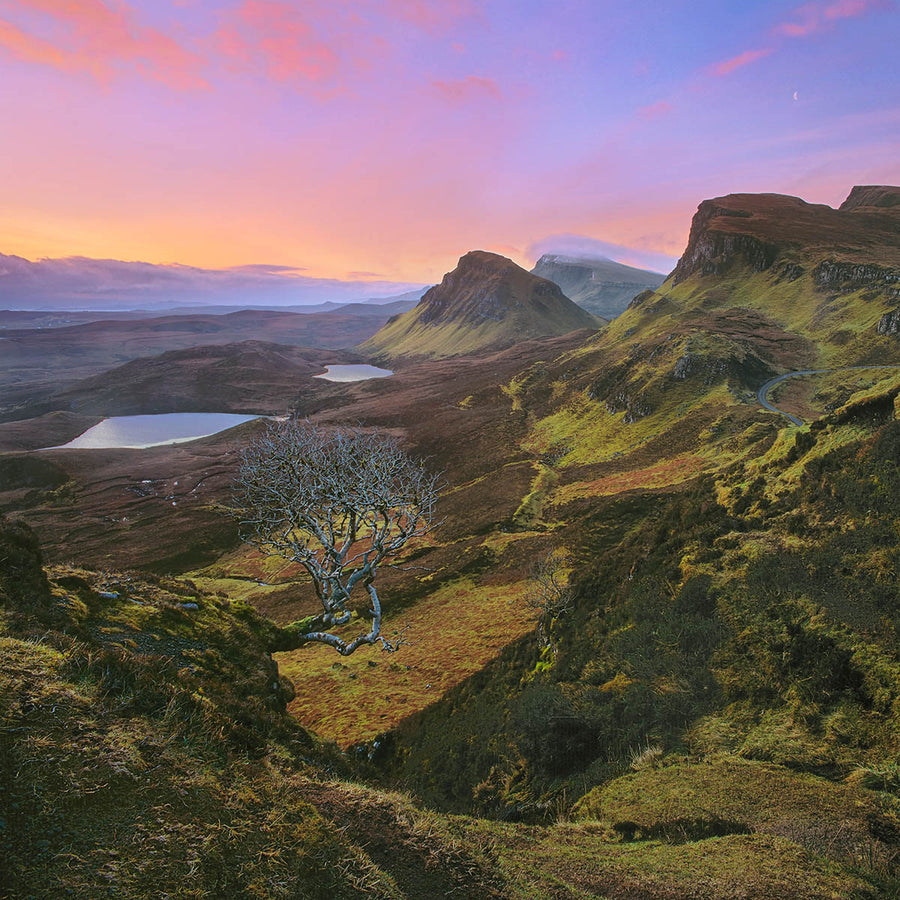 Gateway to Eden archival giclée print by Ian Cameron