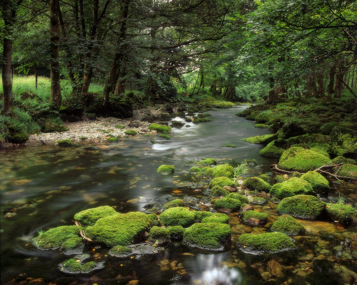 Green Velvet - Chapel Stile, Lake District, England archival giclée print by Ian Cameron