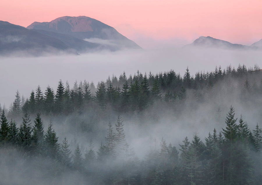 Misty Sunrise Tulla archival giclée print by Ian Cameron
