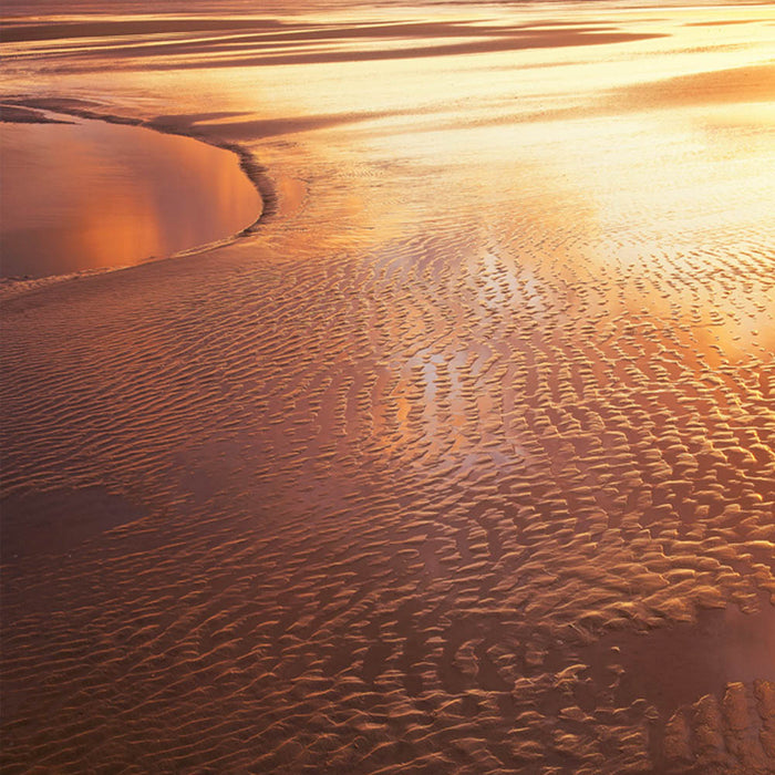 Stippled Gold archival giclée print by Ian Cameron