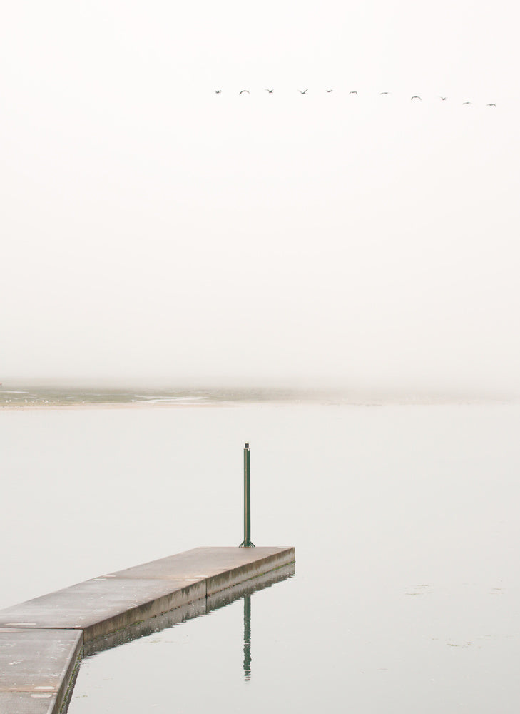 Misty Lake Dock Birds archival giclée print by Jesus Concepcion