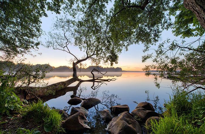 Misty Lake Morning archival giclée print by Keller