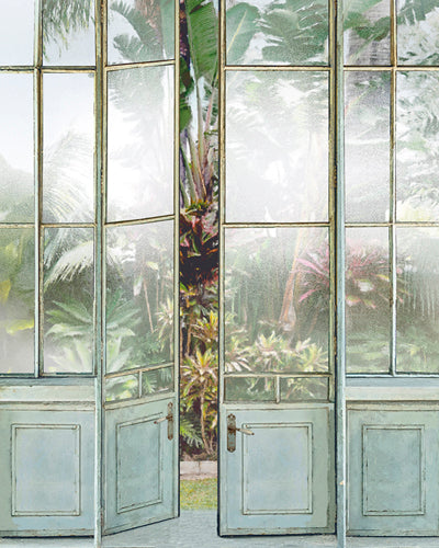 Conservatory Reflection archival giclée print by Mark Chandon