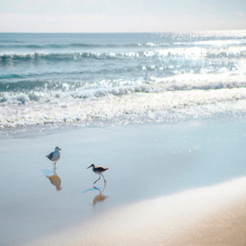 Shores archival giclée print by Mark Chandon
