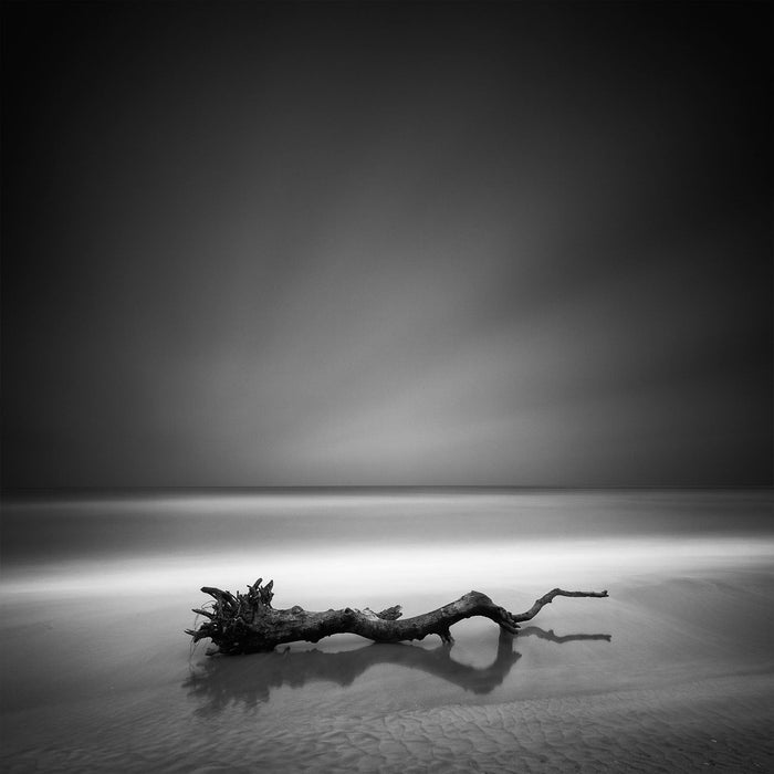 Dark Ocean Driftwood archival giclée print by Martin Rak