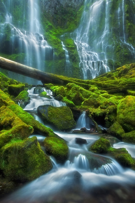 Lush Forest Waterfall archival giclée print by Miles Morgan