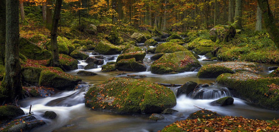 Autumn Woodland Stream archival giclée print by Norbert Maier