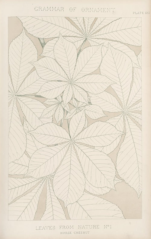Leaves from Nature No. 1 by Owen Jones