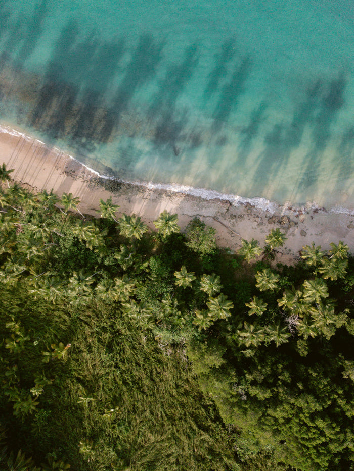 Palm Beach from Above archival giclée print by Raisa Zwart