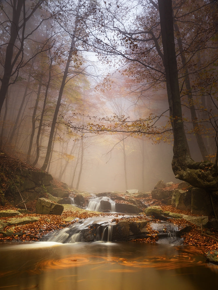 Misty Autumn Forest Stream archival giclée print by Ramon M. Covelo