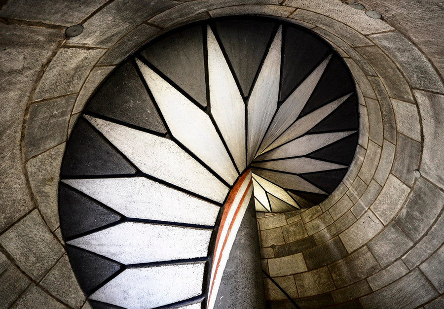 Looking Upstairs archival giclée print by Renate Reichert
