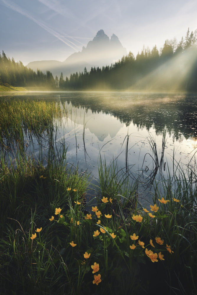 Mountain Paradise archival giclée print by Stefan Hefele