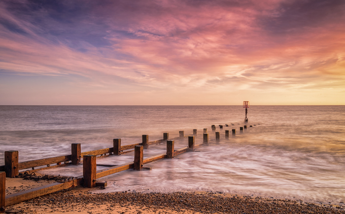 Morning Glory by Steve Docwra