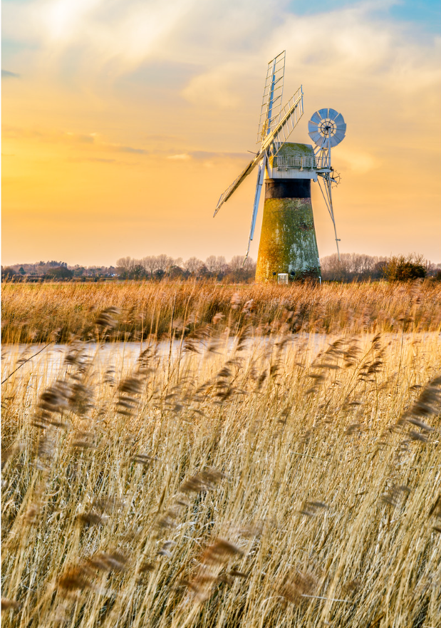 Windmill on the Norfolk Broads by Steve Docwra