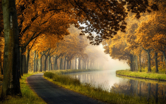A Calm Morning archival giclée print by Sus Bogaerts