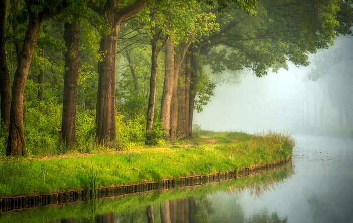 Misty Forest River archival giclée print by Sus Bogaerts